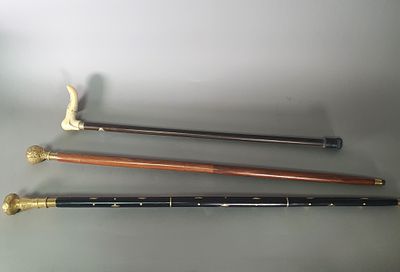 מקלות הליכה. 3 מקלות הליכה שניים עם ידית פליז מרוקעת. קישוטי צבע זהב על אחד המקלות.