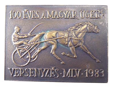 תבליט ברונזה הונגרי מאסיבי מברונזה מ 1983 מידות 7.3X9.5 ס"מ לכבוד 100 שנות תחרויות סוסים משקל 