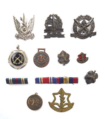 לוט גדול של סמלים צהליים