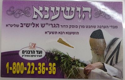 שירי מצוה מעכבין את הפורענות, עלי הושענא מבדי הערבות של גדולי הדור הגרי"ש אלישיב והגר"ח קניבסקי 