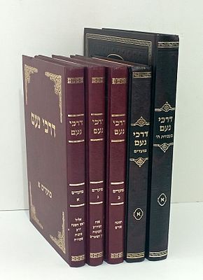 Collection of Books by the Admor of Slonim Rabbi Shmuel Brasovsky Shlita. ספר דרכי נועם על 