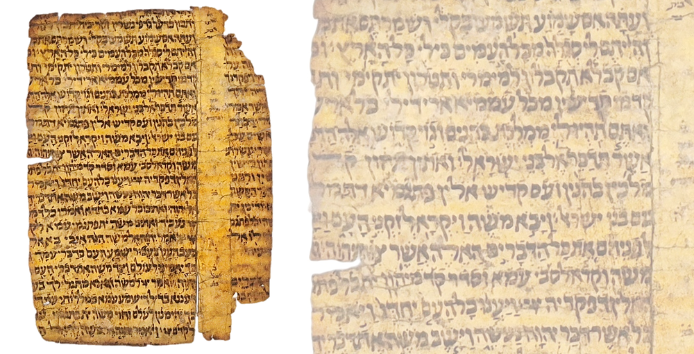 חמשה חלקי דפי קלף מתוך חומש תאג' ספר שמות פרשת יתרו – תימן המאה ה – 14-15
. שרידי דפי תאג' 