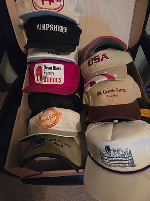 WEST OF MEEKER PICKUP- A Collection of Vintage Promotional and Advertising Trucker Hats and 