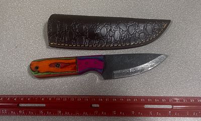 Custom Fixed Blade Hunting Knife with Repurposed File Steel Blade and Multi-Colored Laminated 