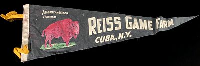 Vintage Reiss Game Farm Cuba New York American Bison Felt Pennant. A vintage felt pennant from 