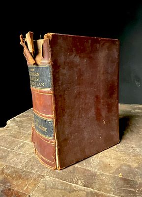 Circa 1887. Richardson, Joseph G. The Modern Family Physician and Hygienic Guide. This late 