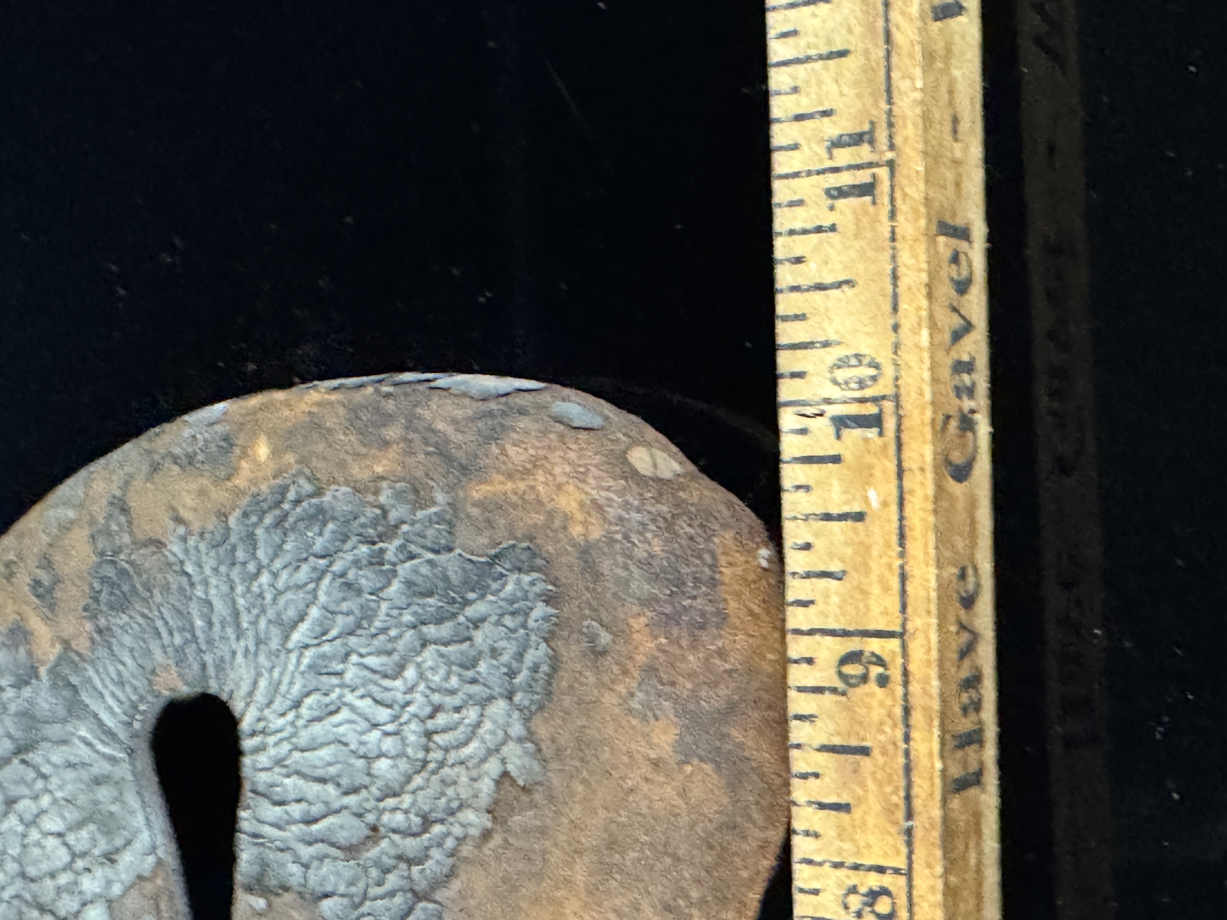 Antique Persons-Majestic Manufacturing Company Split-Top Leather Bicycle Saddle