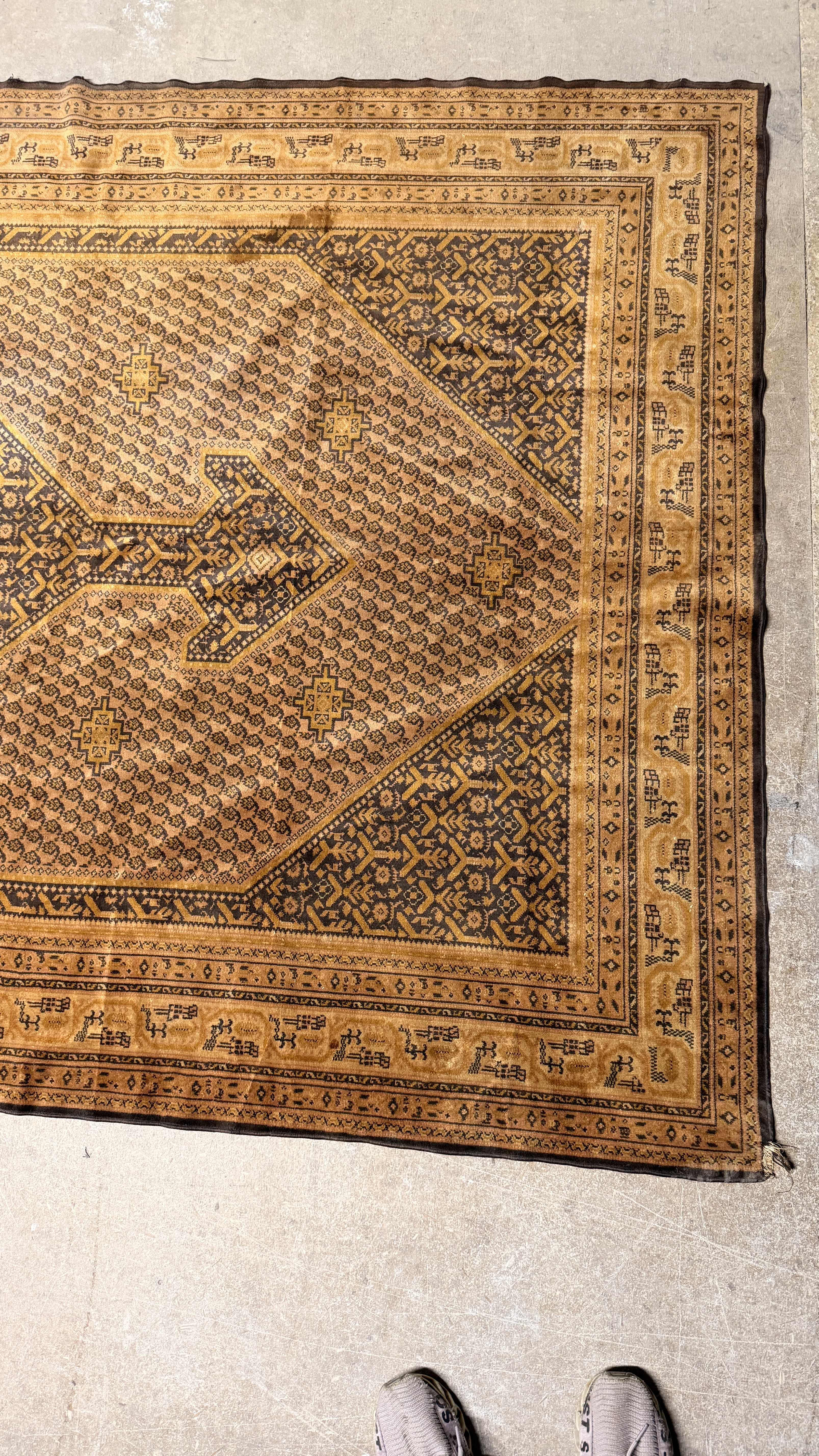 Large Persian Style Medallion Decorative Rug with Camel Border