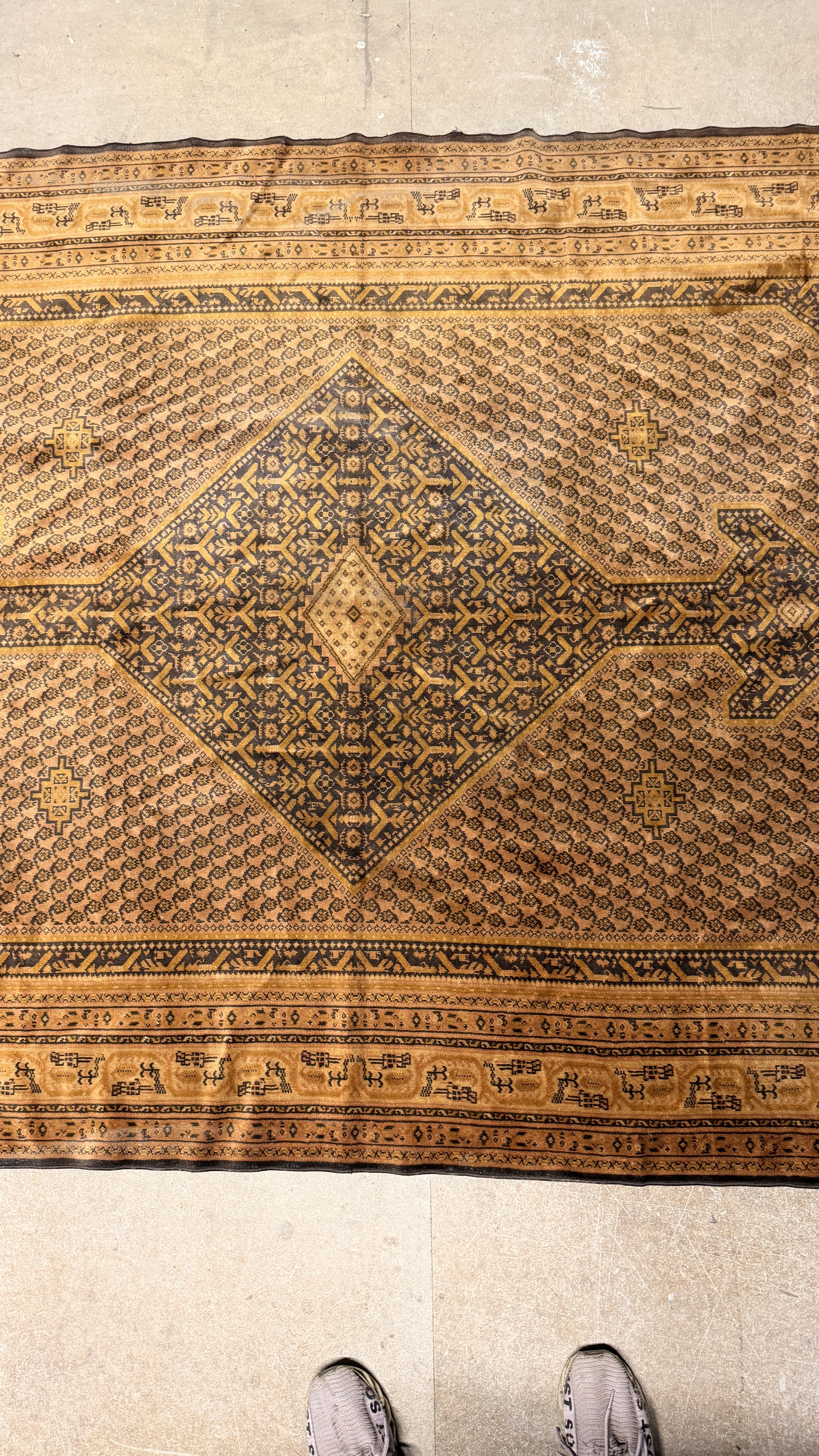 Large Persian Style Medallion Decorative Rug with Camel Border