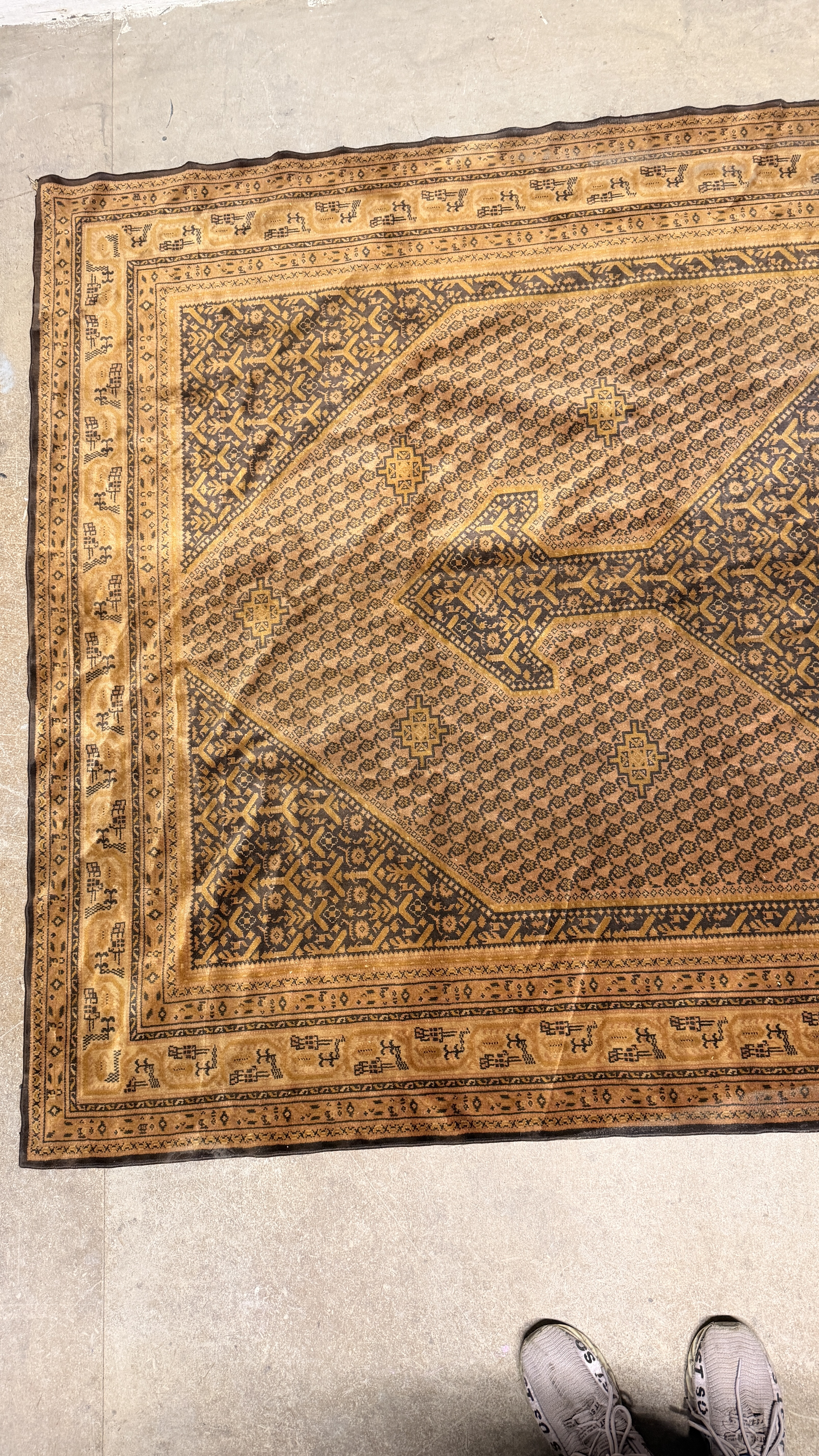 Large Persian Style Medallion Decorative Rug with Camel Border