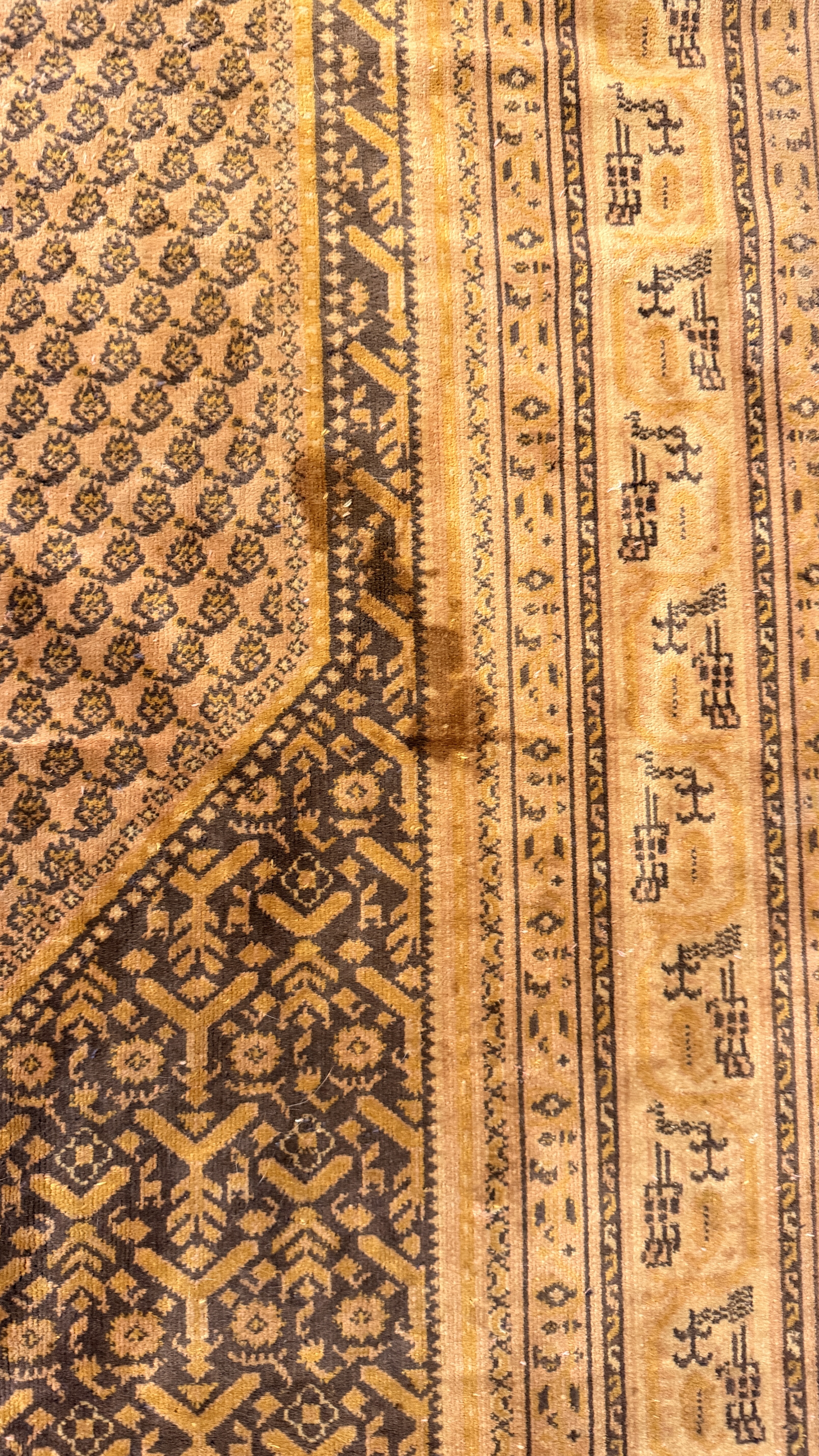 Large Persian Style Medallion Decorative Rug with Camel Border