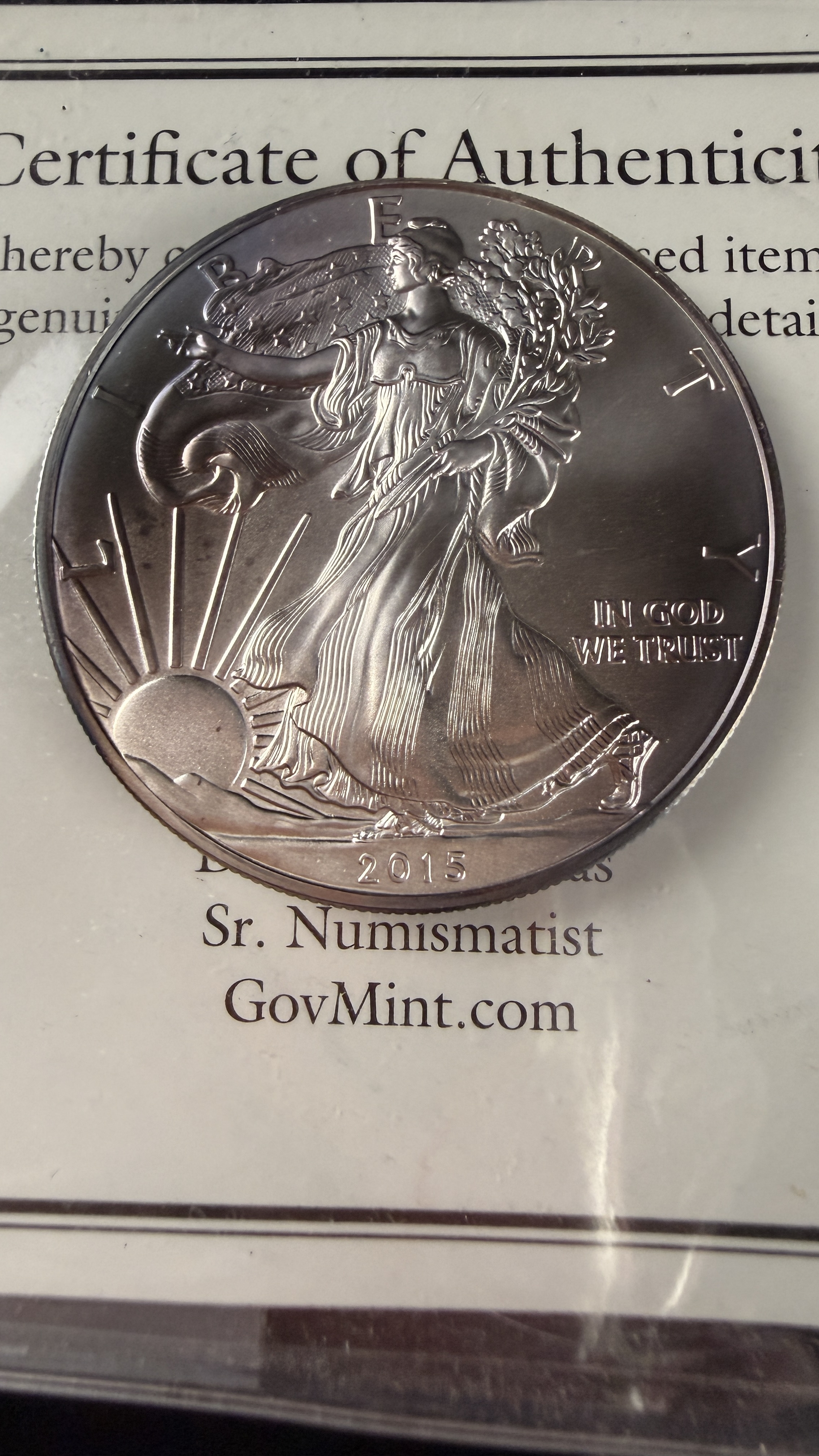 2015 US $1 American Silver Eagle 1 oz Fine Silver Coin