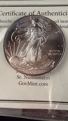 2015 US $1 American Silver Eagle 1 oz Fine Silver Coin. 2015 United States of America American 