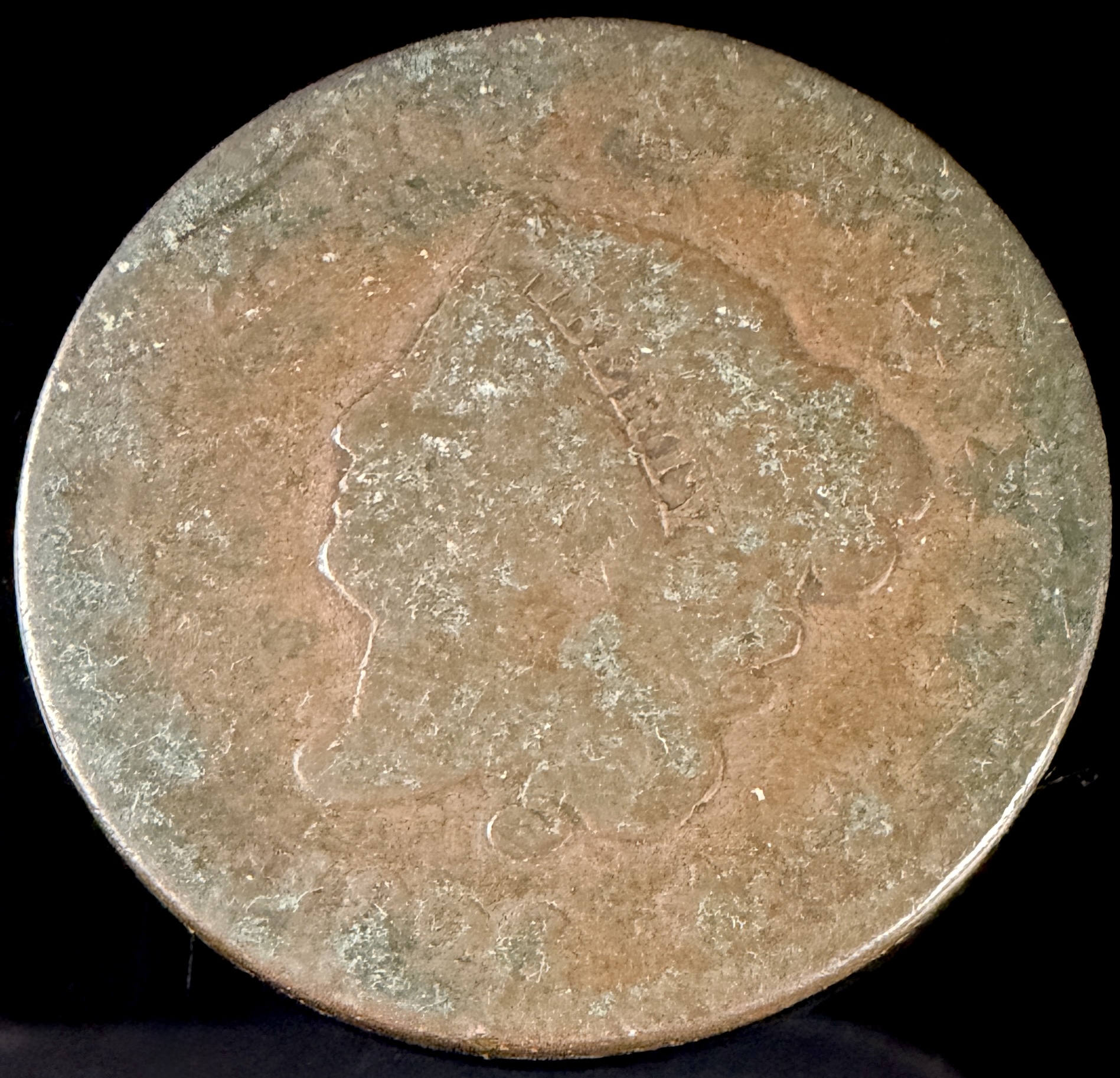 A Group of US Coins including 1893 Columbian Exposition Half Dollar