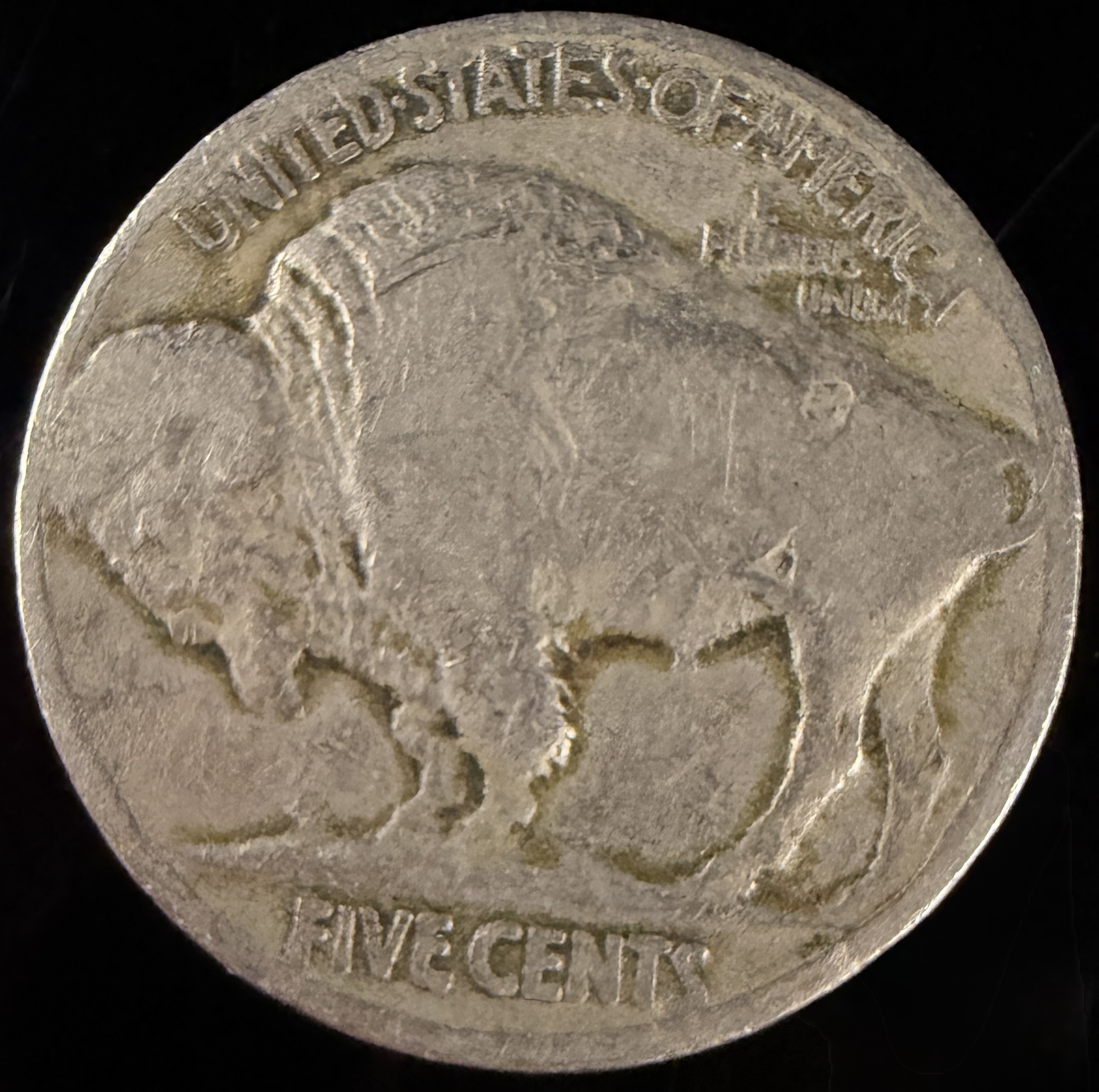 A Collection of US Buffalo Five-Cent Coins