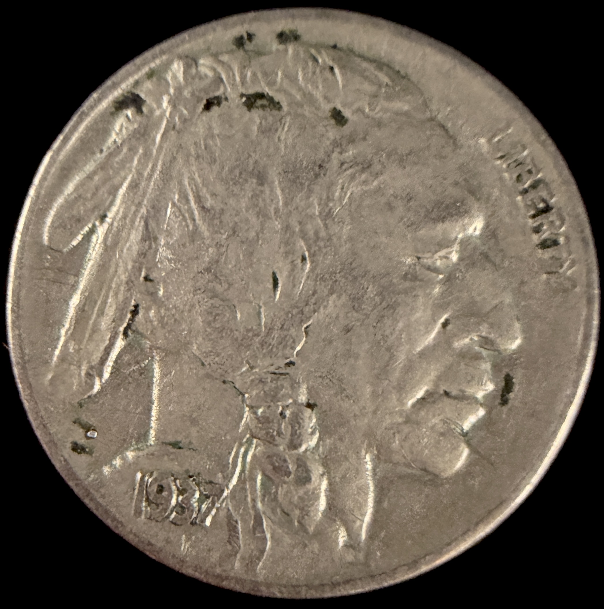 A Collection of US Buffalo Five-Cent Coins