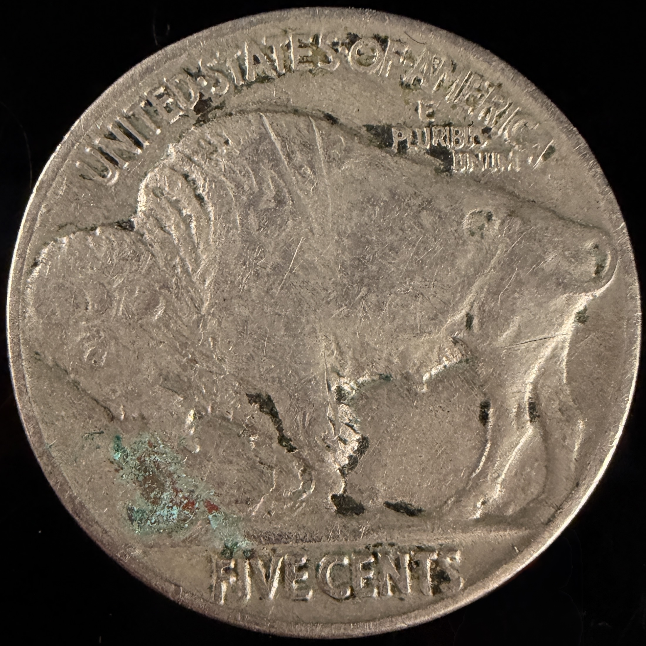 A Collection of US Buffalo Five-Cent Coins