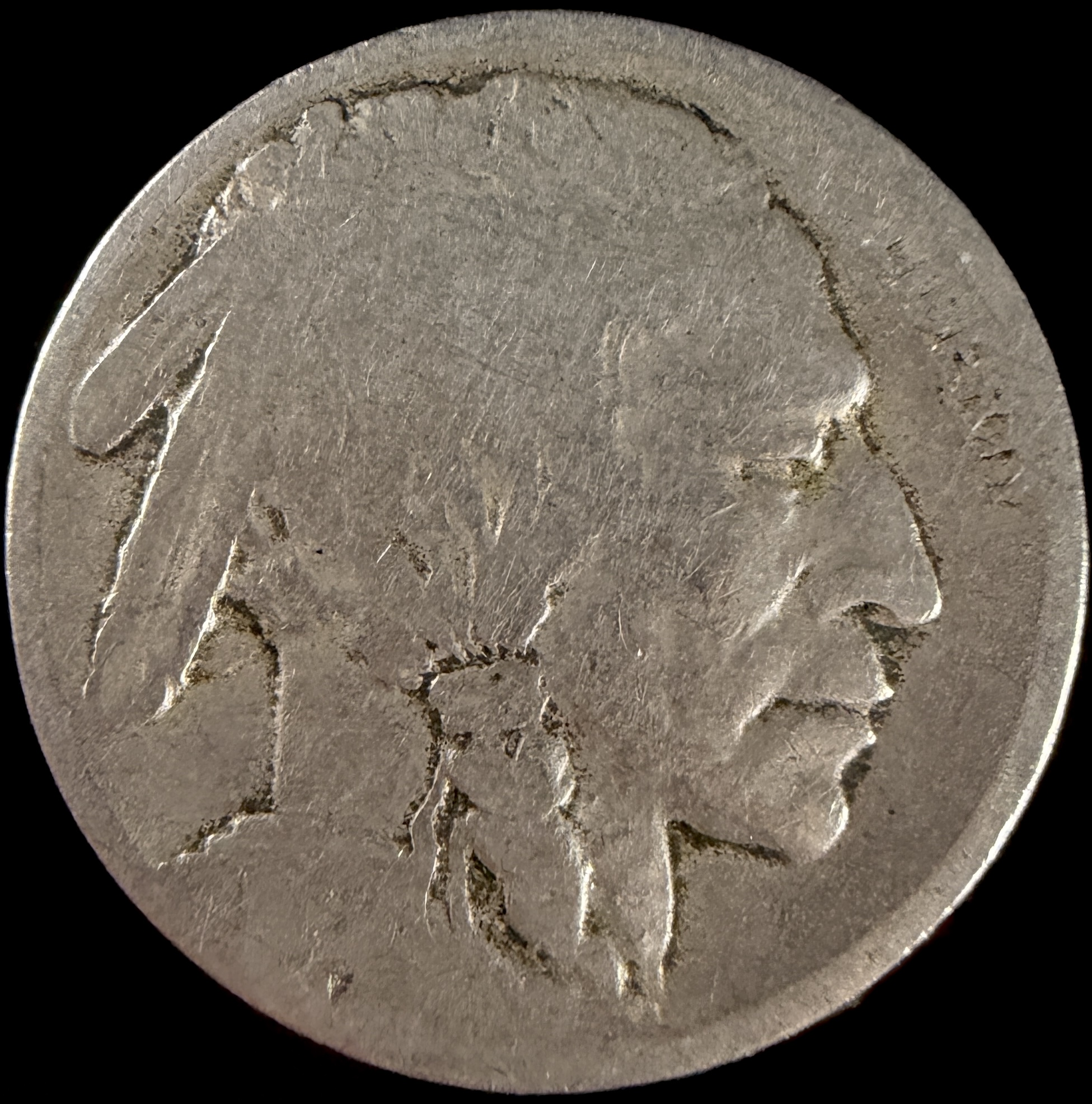 A Collection of US Buffalo Five-Cent Coins