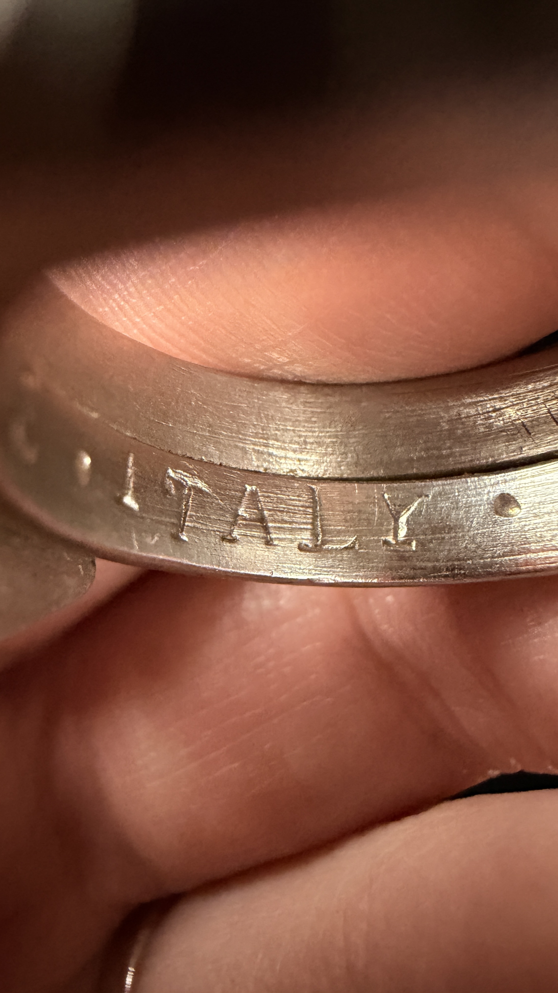 Italian White Metal Serpent Motif Souvenir Ring Naples 1947