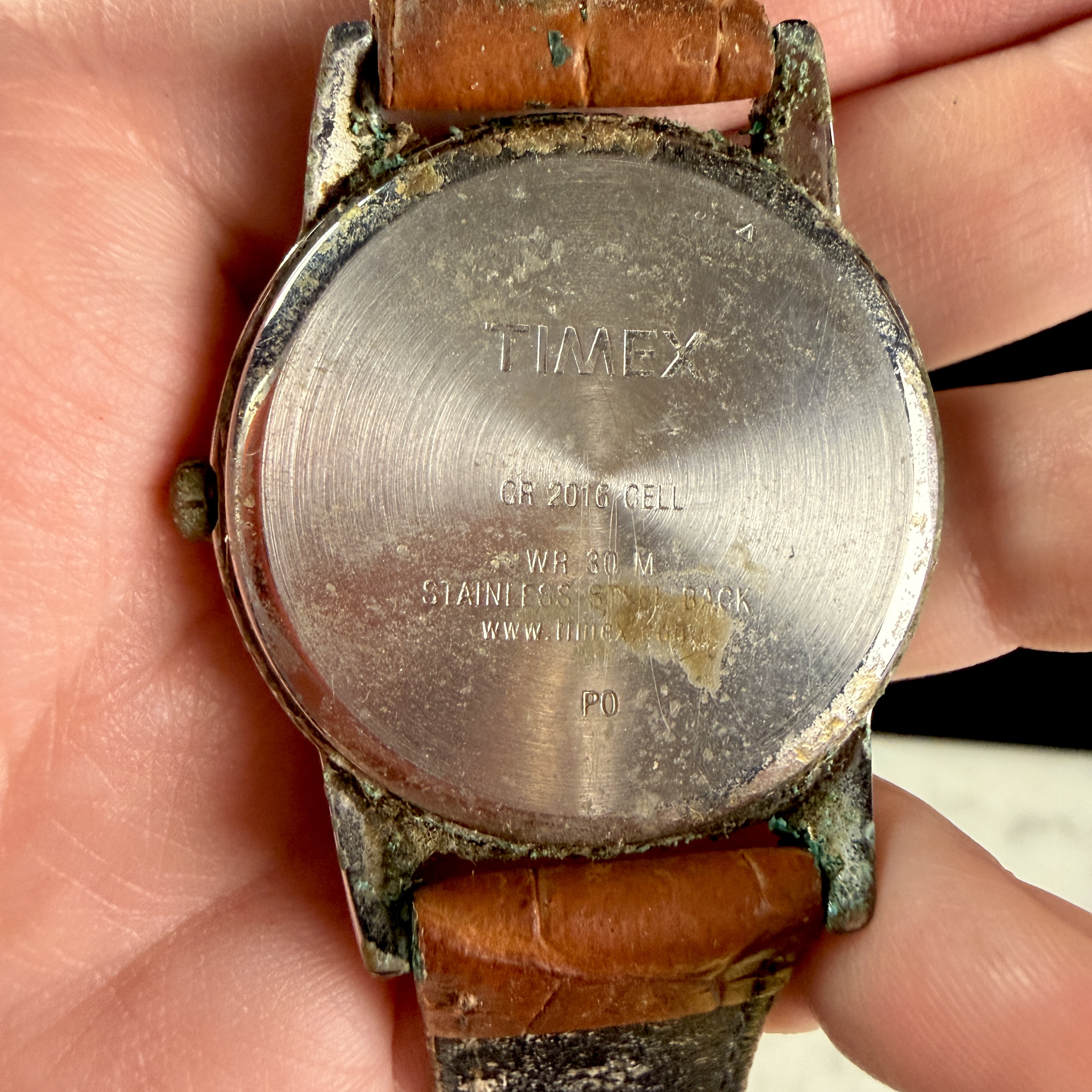 Timex Indiglo Easy Reader Gold-Tone Quartz Wristwatch