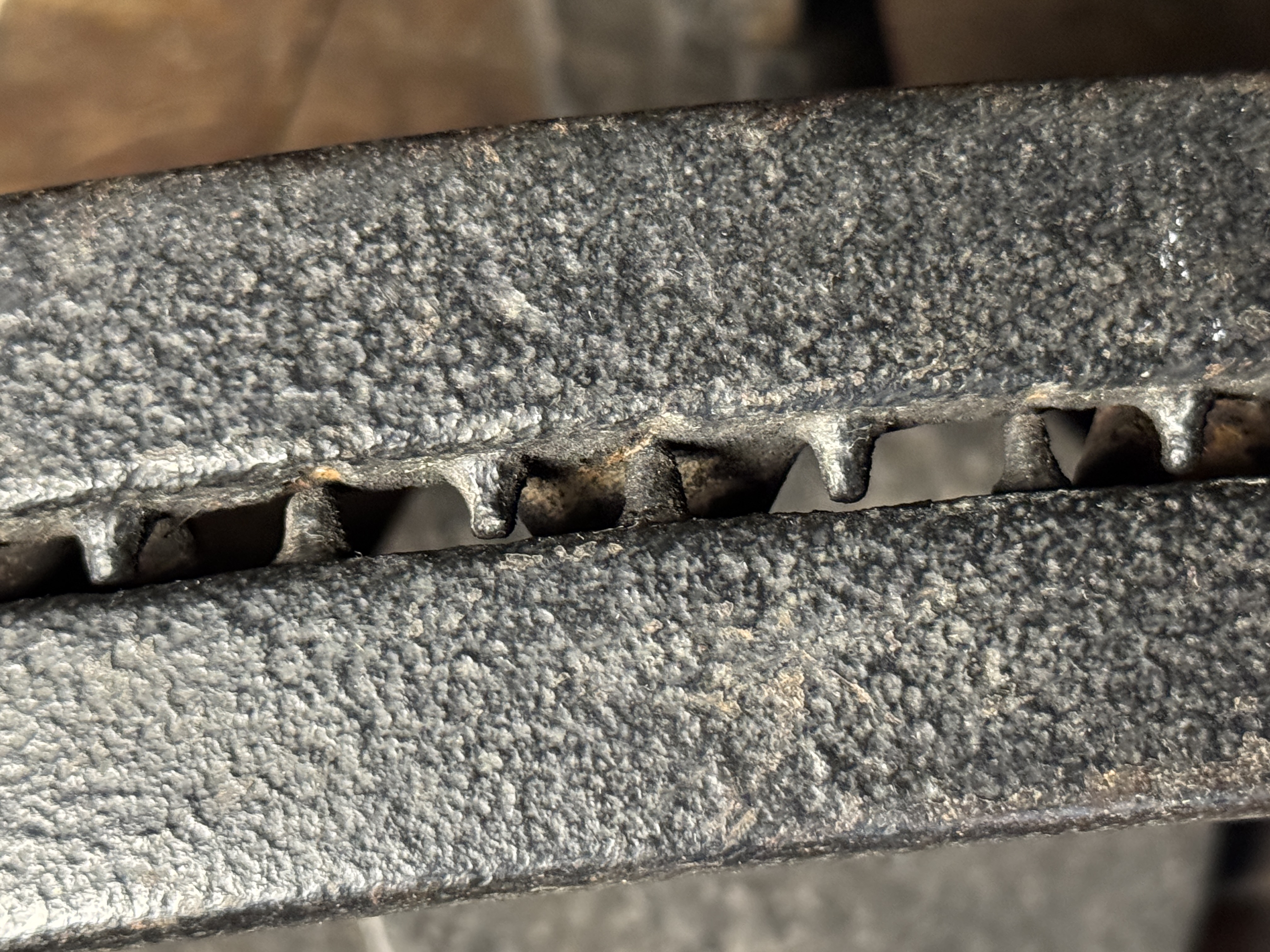 S. Newhouse pre-Oneida No. 5 Slick Pan Bear Trap with Rare Cast Serrated Teeth