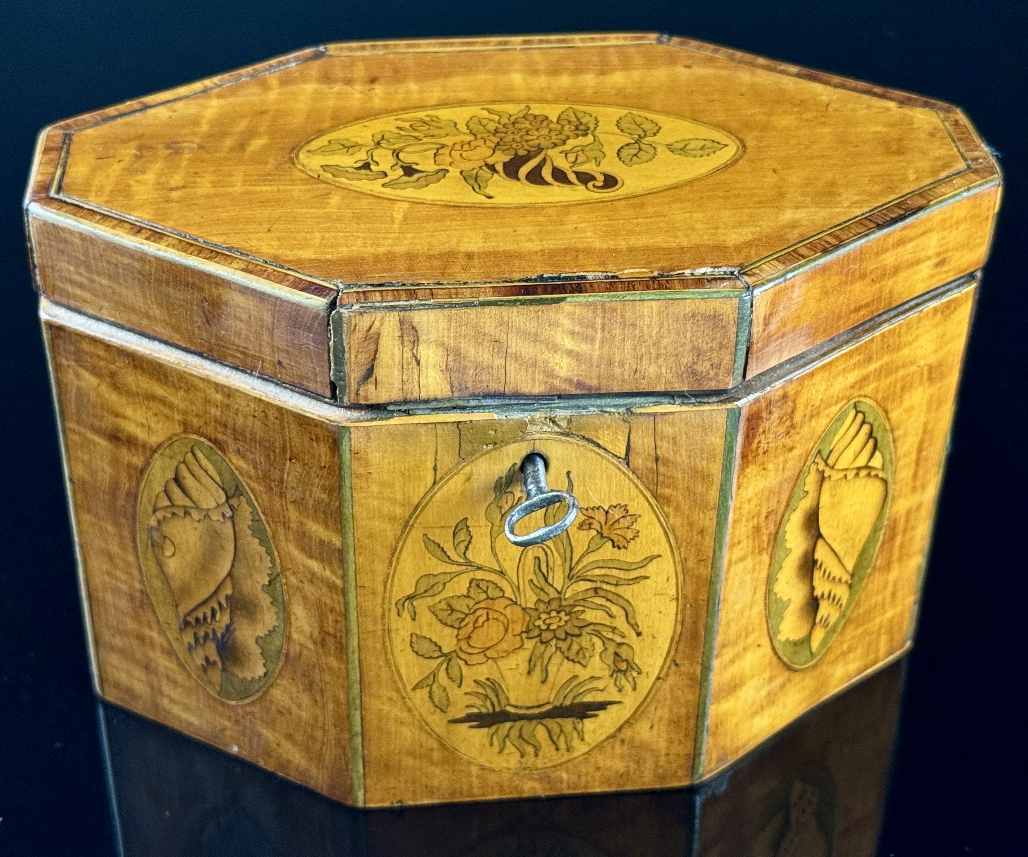 English George III Style Octagonal Satinwood Tea Caddy with Shell and Floral Marquetry