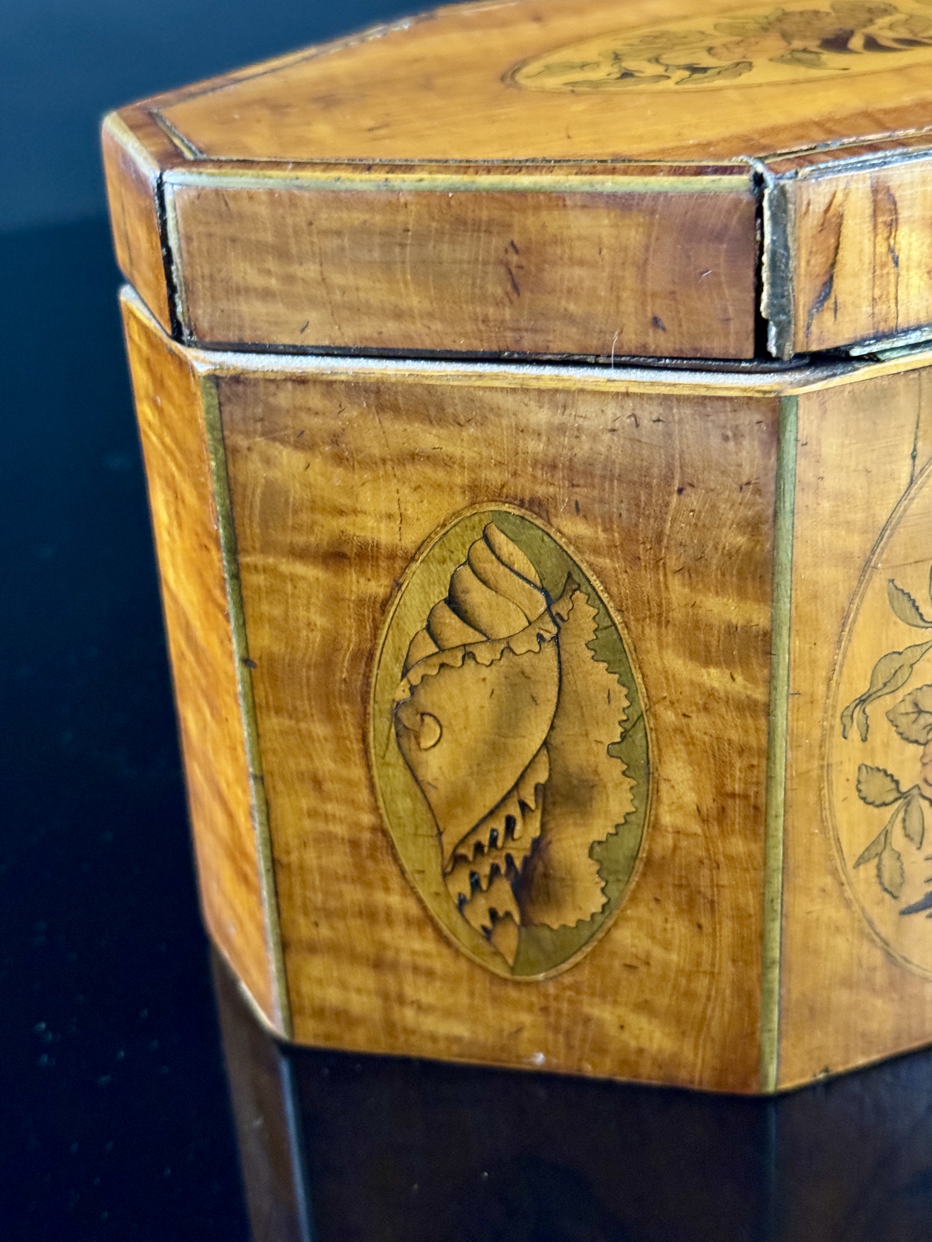 English George III Style Octagonal Satinwood Tea Caddy with Shell and Floral Marquetry