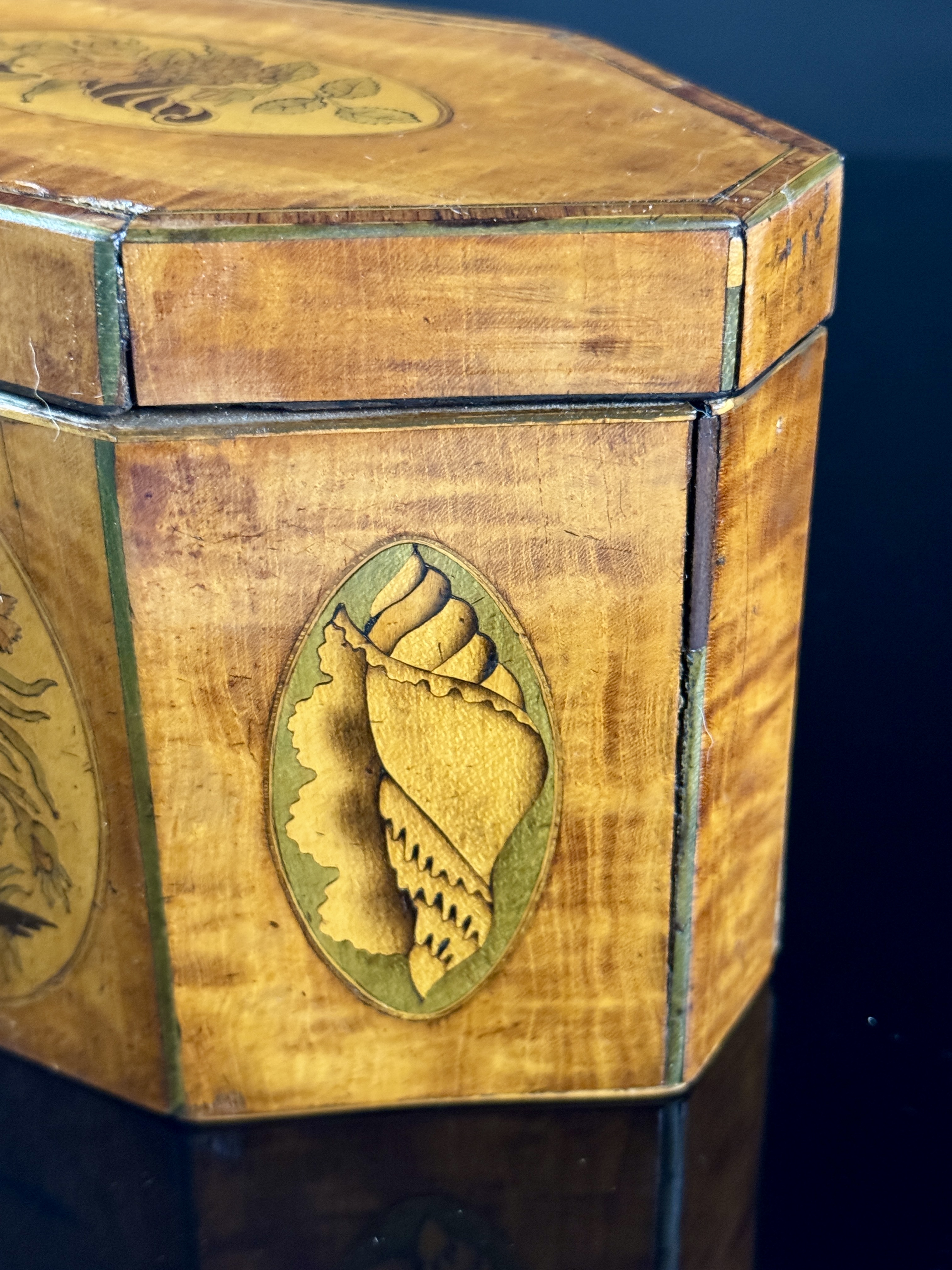 English George III Style Octagonal Satinwood Tea Caddy with Shell and Floral Marquetry