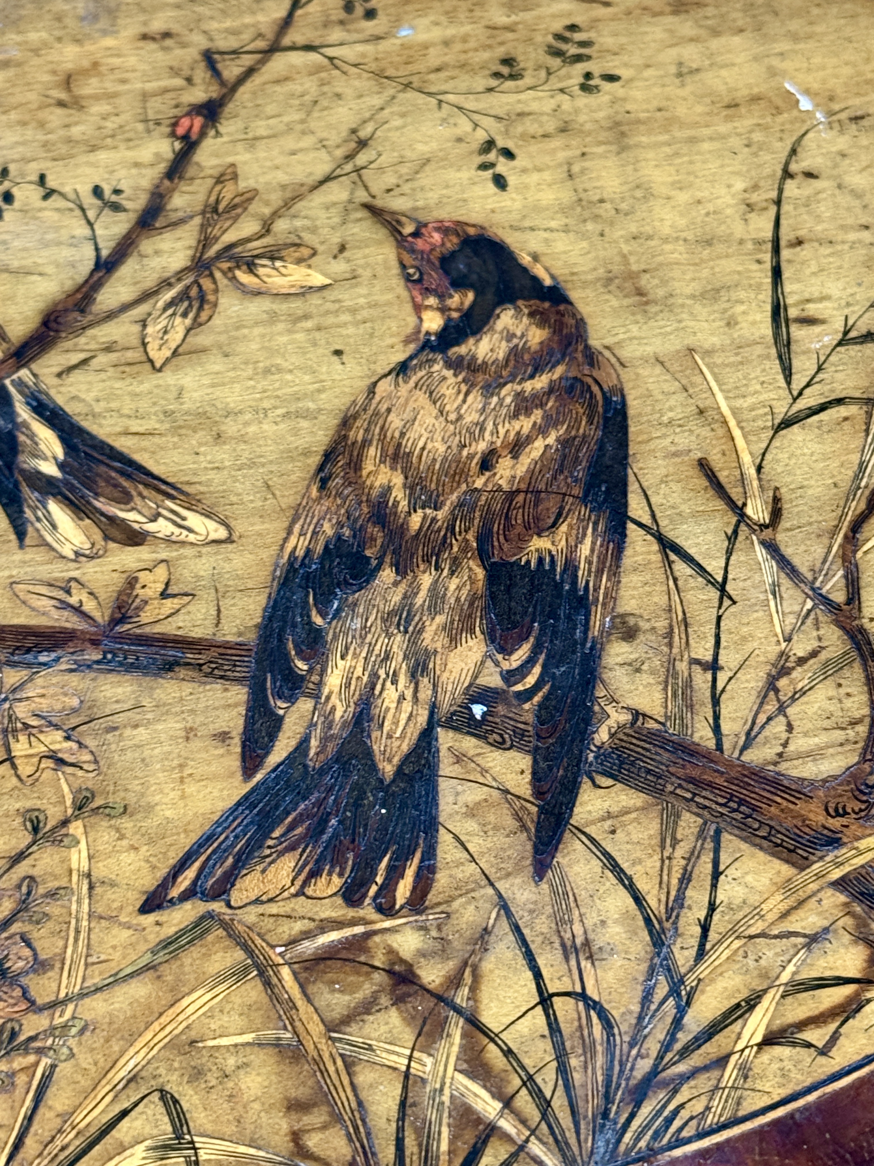 Victorian Olive Wood Box with Bird Marquetry and Nice Inscription