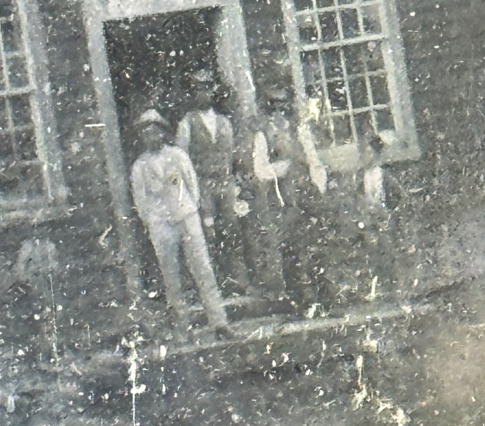 African American Sixth-Plate Daguerreotype of a Large Shingled Building