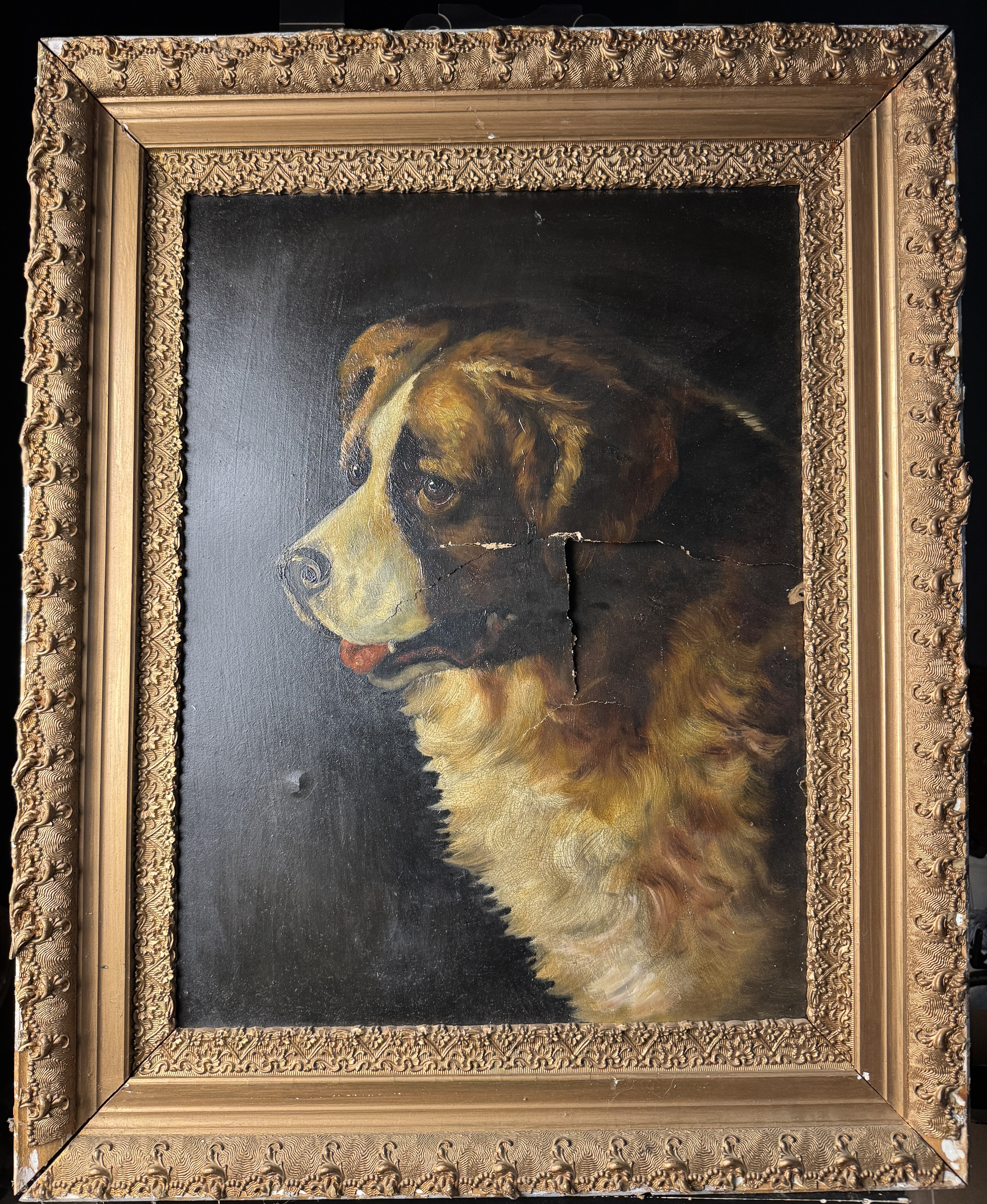 St. Bernard Portrait Oil on Academy Board Late 19th Century