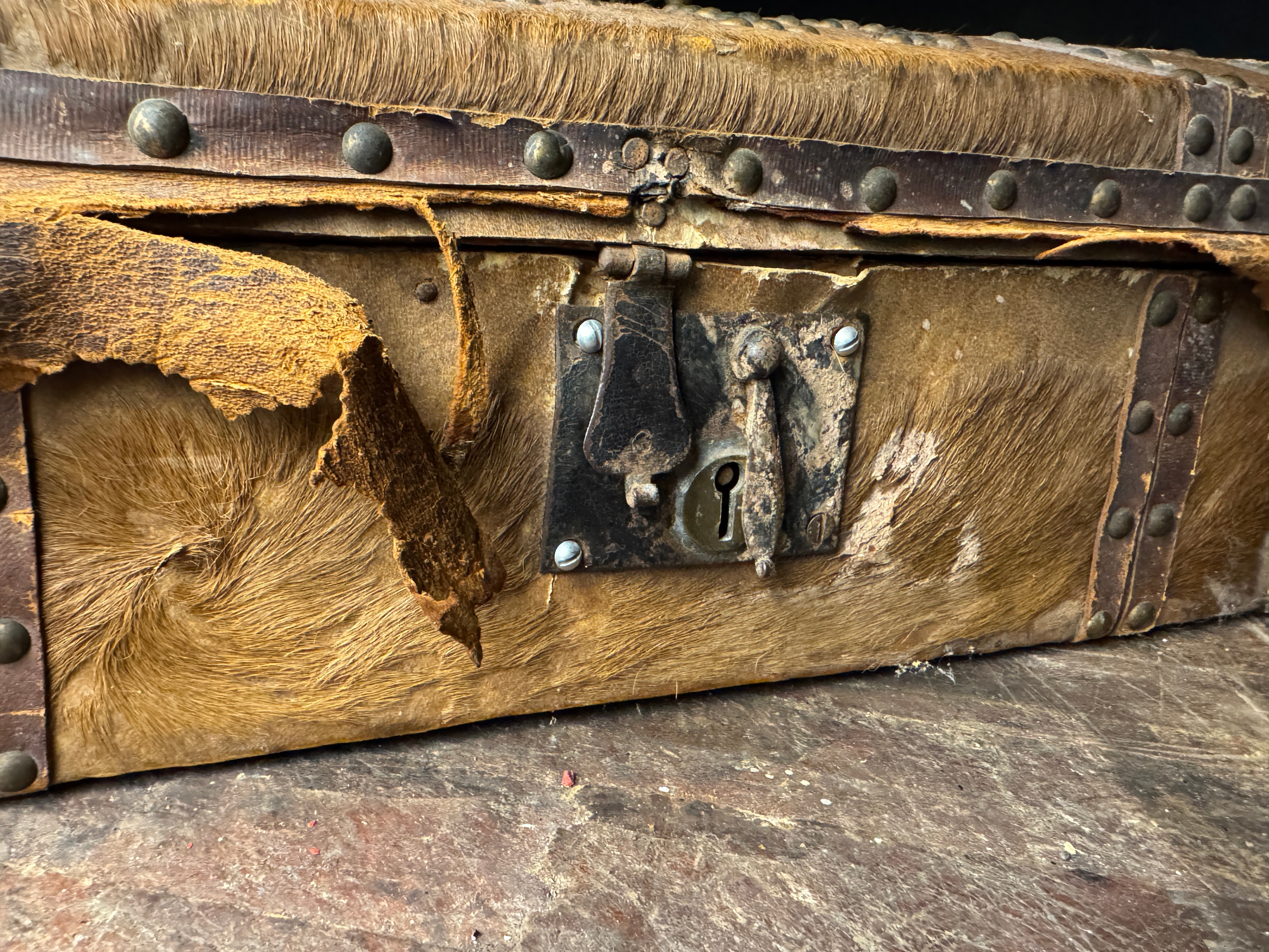 Antique 19th Century Domed Top Hair on Hide Document Box with Brass Tack Initials