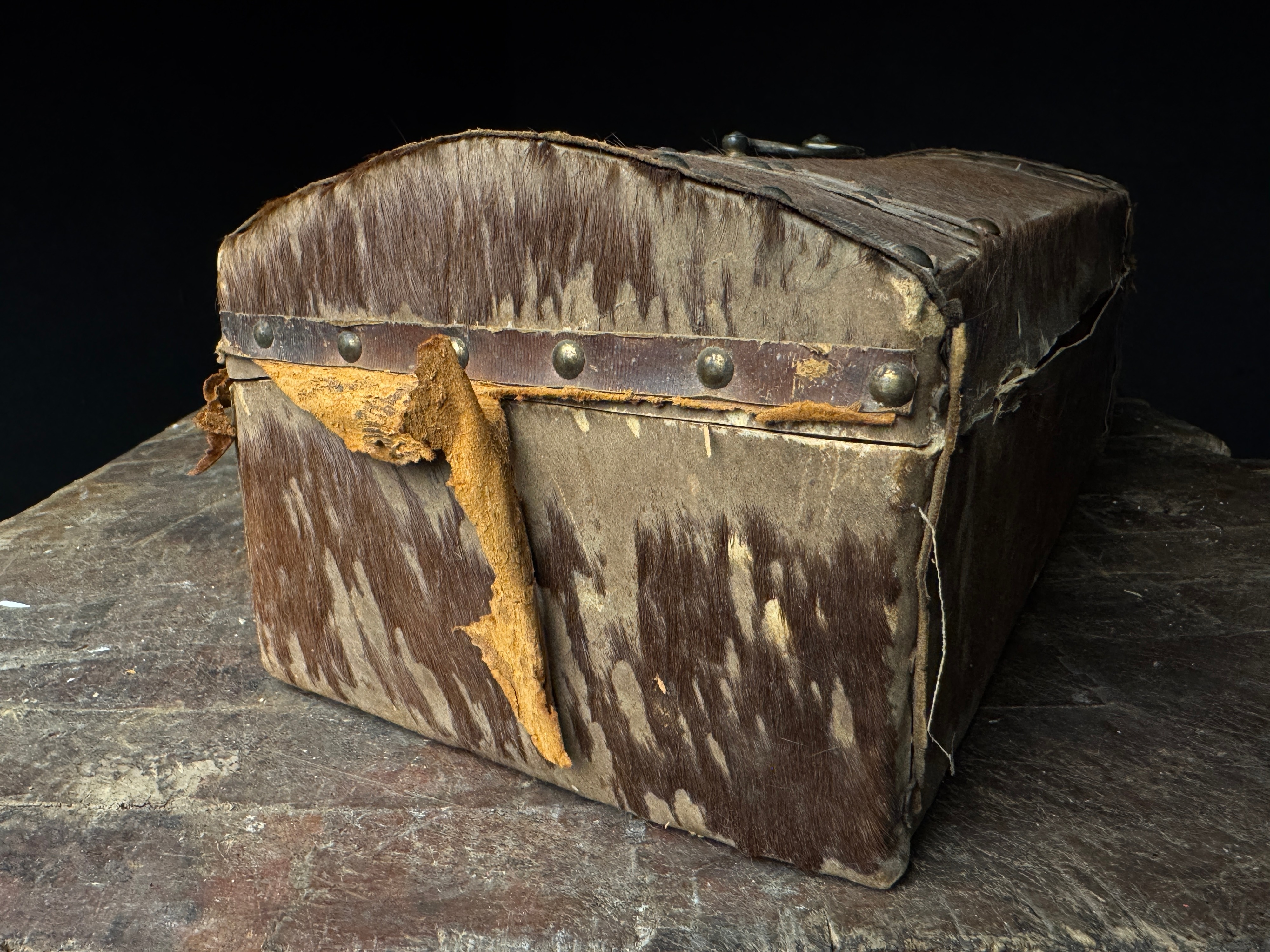 Antique 19th Century Domed Top Hair on Hide Document Box with Brass Tack Initials