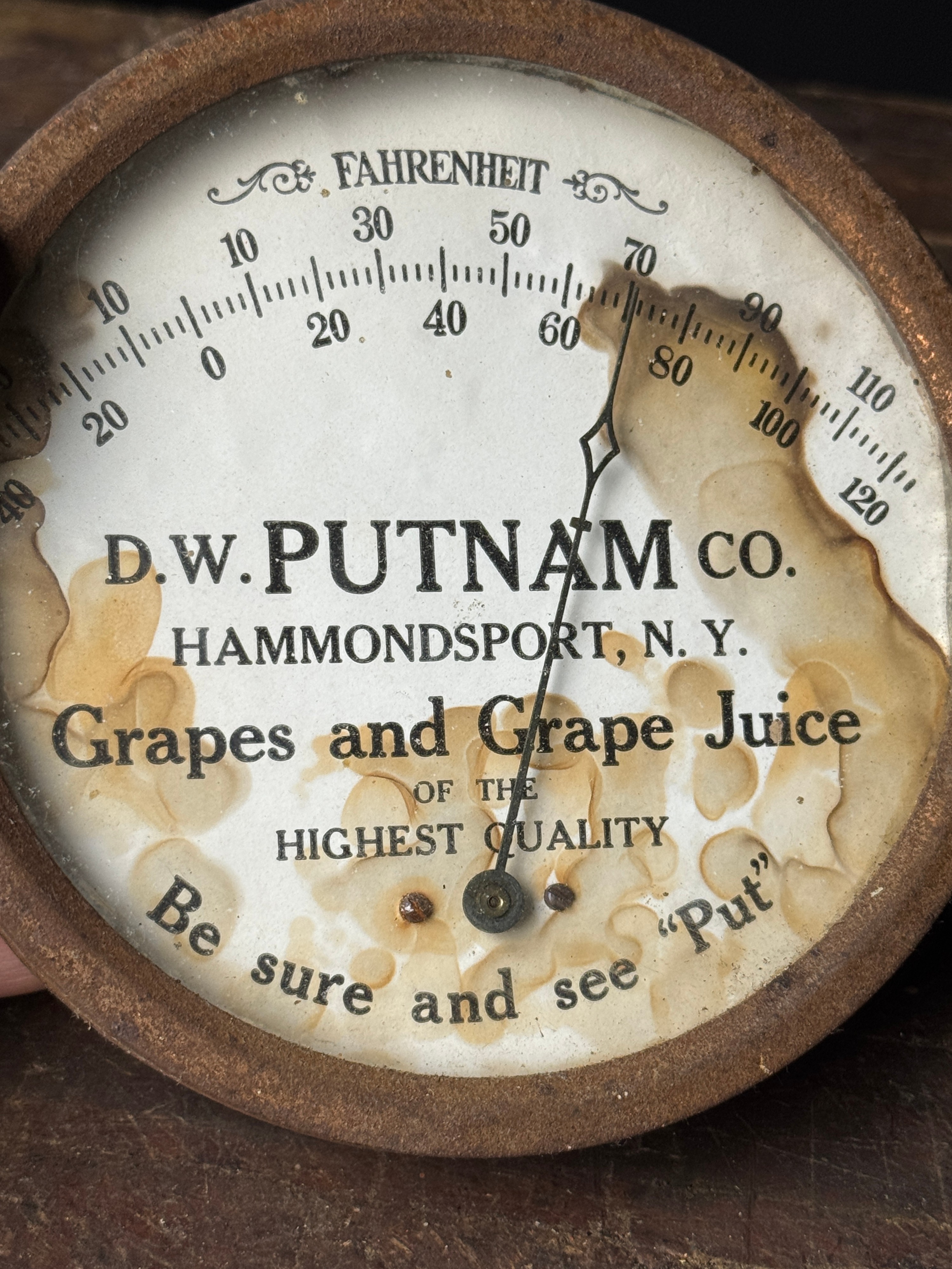 D.W. Putnam Co. Grapes and Grape Juice Advertising Thermometer Hammondsport