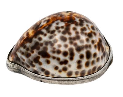 Silver and Cowrie Shell Snuff Box, Late 18th Century - Mid 19th Century. 
Not marked, acid 