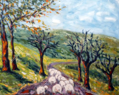 Miriam mandel - Sheep from the jezreel valley. Miriam mandel - Sheep from the jezreel valley 
