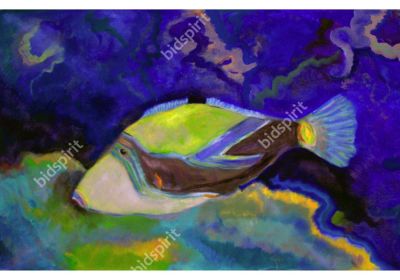 Eldar meshulam - fish in eilat. eldar meshulam - fish in eilat 
oil on canvas 
80x60 cm