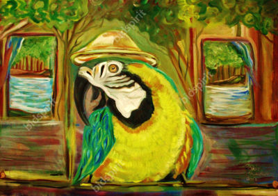 Eldar meshulam - "parrot with a hat in Nicaragua". Oil on canvas 
74.5x56.5 Signed. 
(There is a 