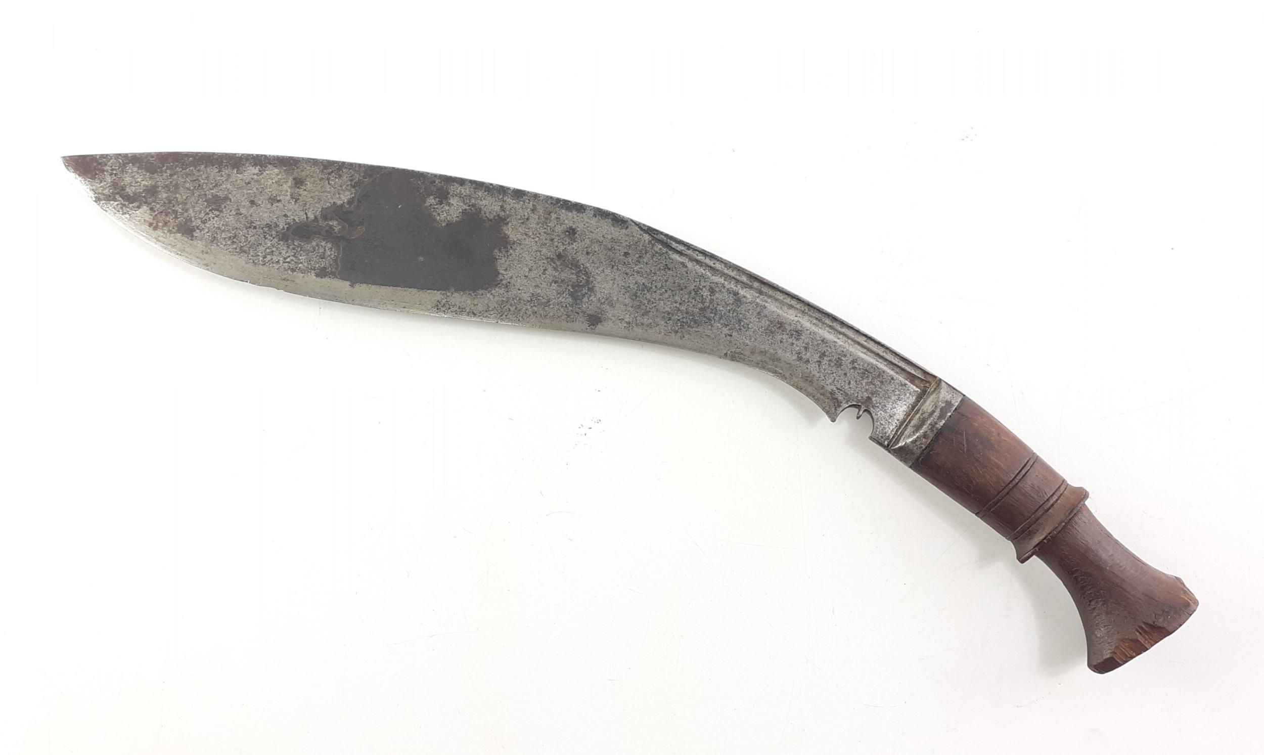 Lot 459
