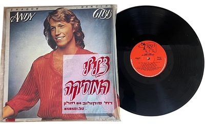 תקליט צלילי המוזיקה ANDY GRIBB במצב מעולה
