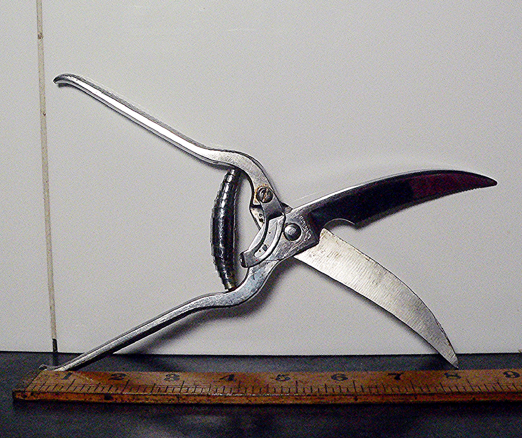 Pair of Victorinox heavy duty scissor shears