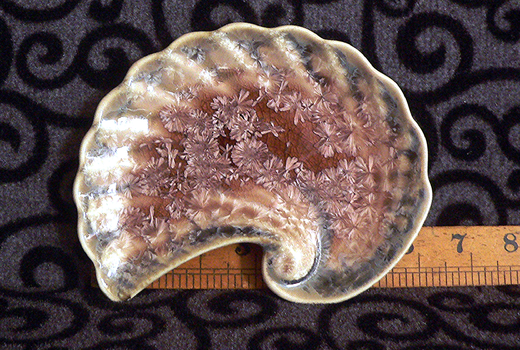 Edgecomb Potters, Maine. USA. Shell Dish Scalloped Edge & Real Flowers.