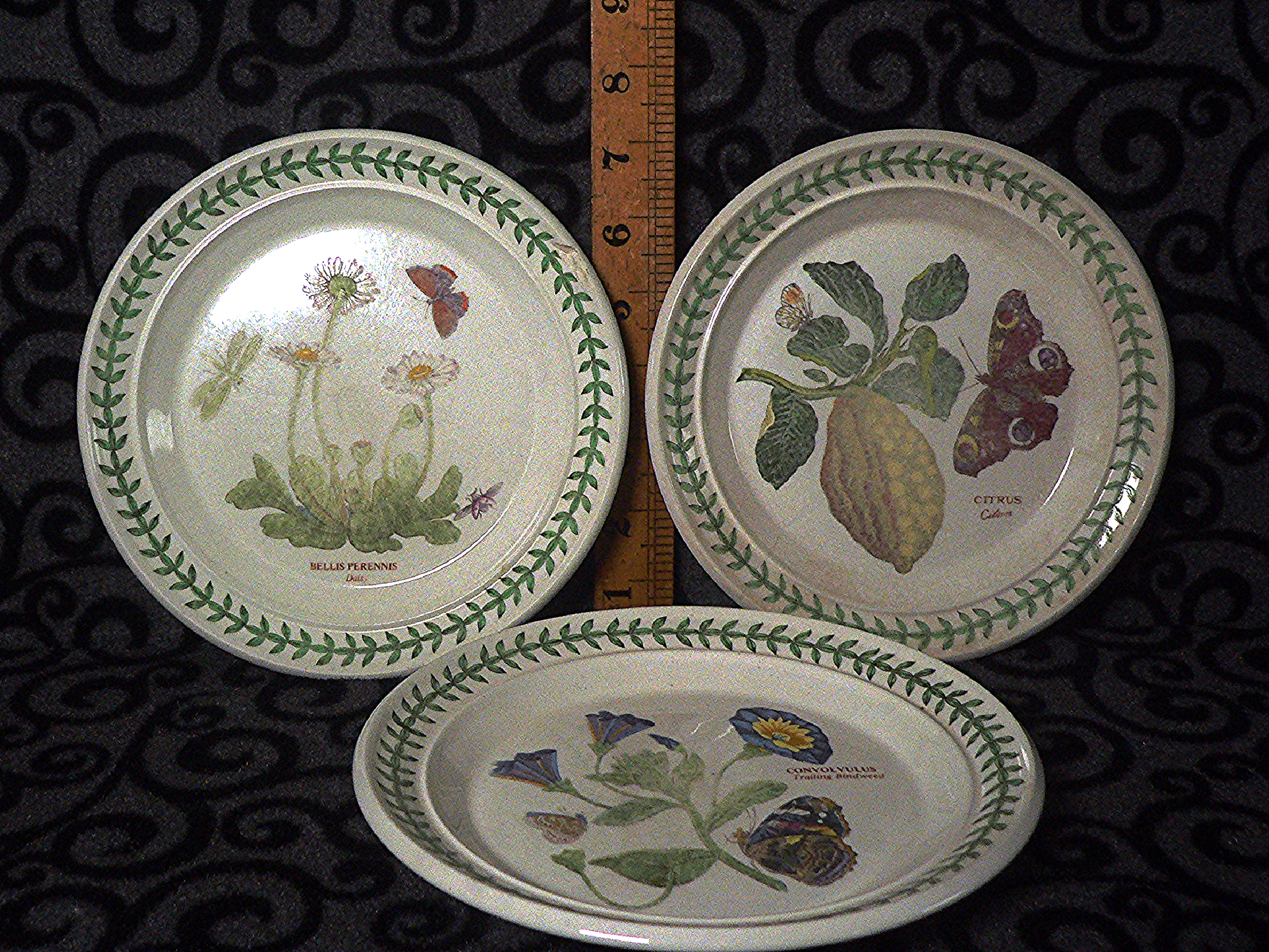 Trio of Portmeirion Botanic Garden 19cm plates
