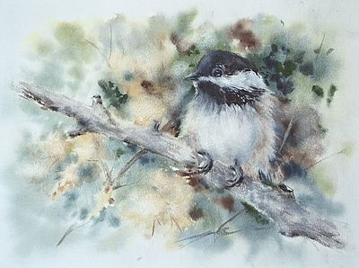 Н. Адамова. Гений маскировки. 2025. Бумага, акварель, 37,5х27,5 
Художник-акварелист из 