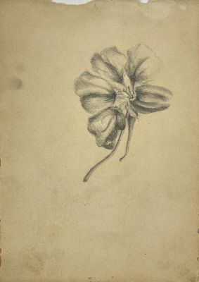 Неизвестный художник	[Из коллекции В. Загорского] Изображение цветка. XIX в. 19,5 х 13,5 см 
