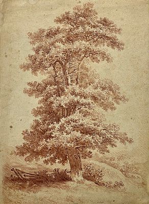 (П) Лепренс Жан-Батист (Le Prince) 1734-1781 - Пейзаж. 1750-1780-е гг. Бумага, гравюра сепией. 31