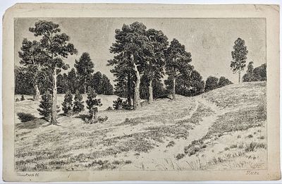 (П) Шишкин Иван Иванович (1832-1898) - Пески. 1886 г. Бумага офорт, 16 х 26,5 см в свету