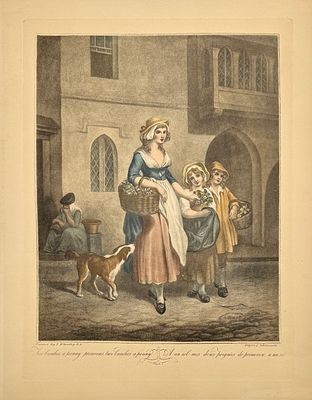 (М) Гравер Николо Скьявонетти (1771-1813) по рисунку Фрэнсиса Уитли (1747-1801) - Первоцветы - два 