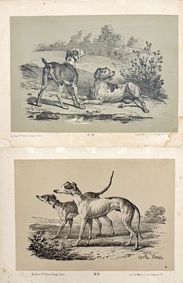 (М) Антуан Шарль Орас (Карл) Верне (1758 — 1836) - автор оригинала - [Два листа] Собаки. Издатель 