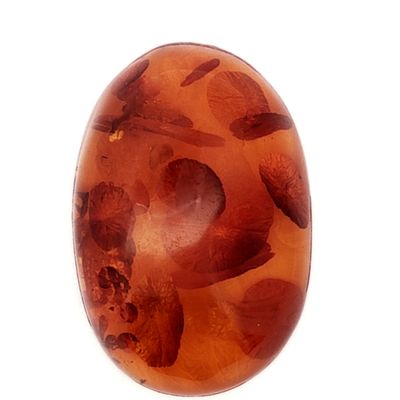 Bernstein 45,12 ct. 41,00 x 28,00 x 13,13 mm